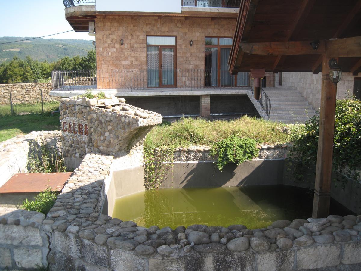 Guest House Galba Bruchkovtsi Exterior photo