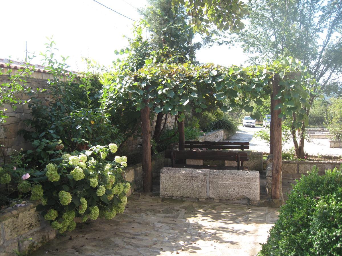 Guest House Galba Bruchkovtsi Exterior photo